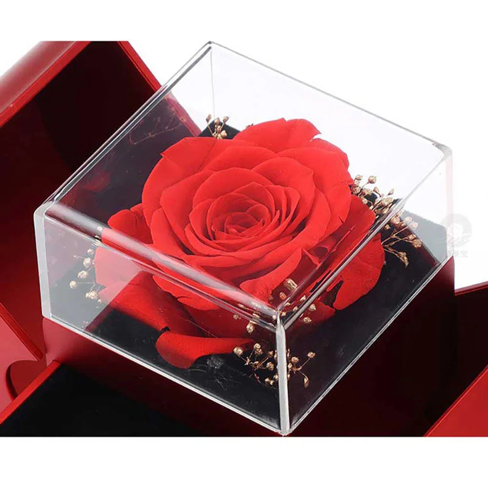 Red rose in a clear box with a red base