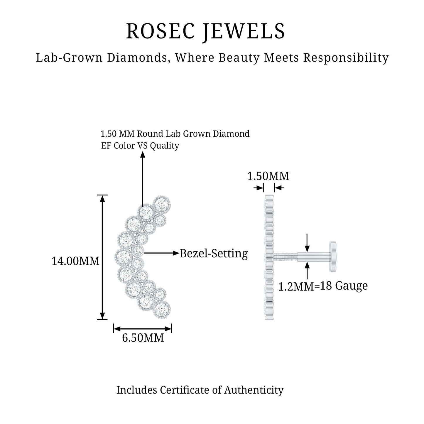 Diamond Curved Crawler Earring in Bezel Set