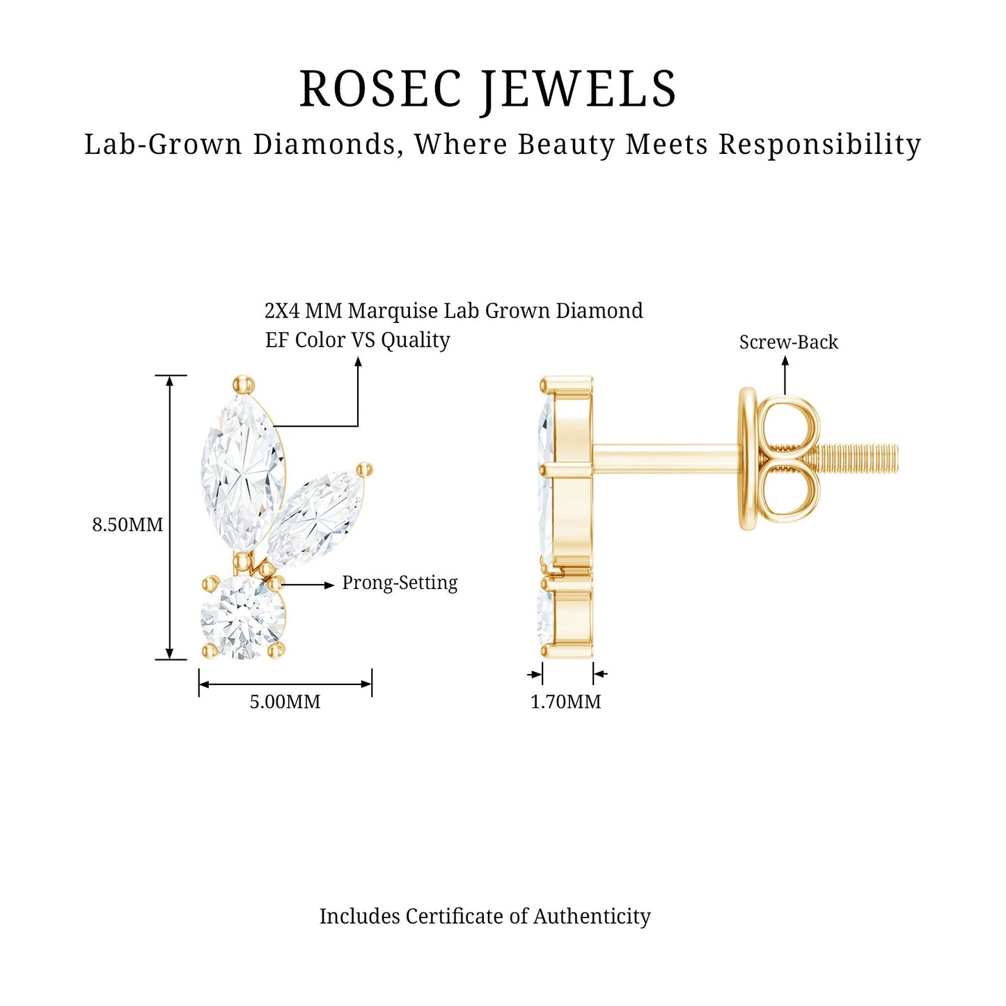 Certified Lab Grown Diamond Everyday Earrings With Screw Back