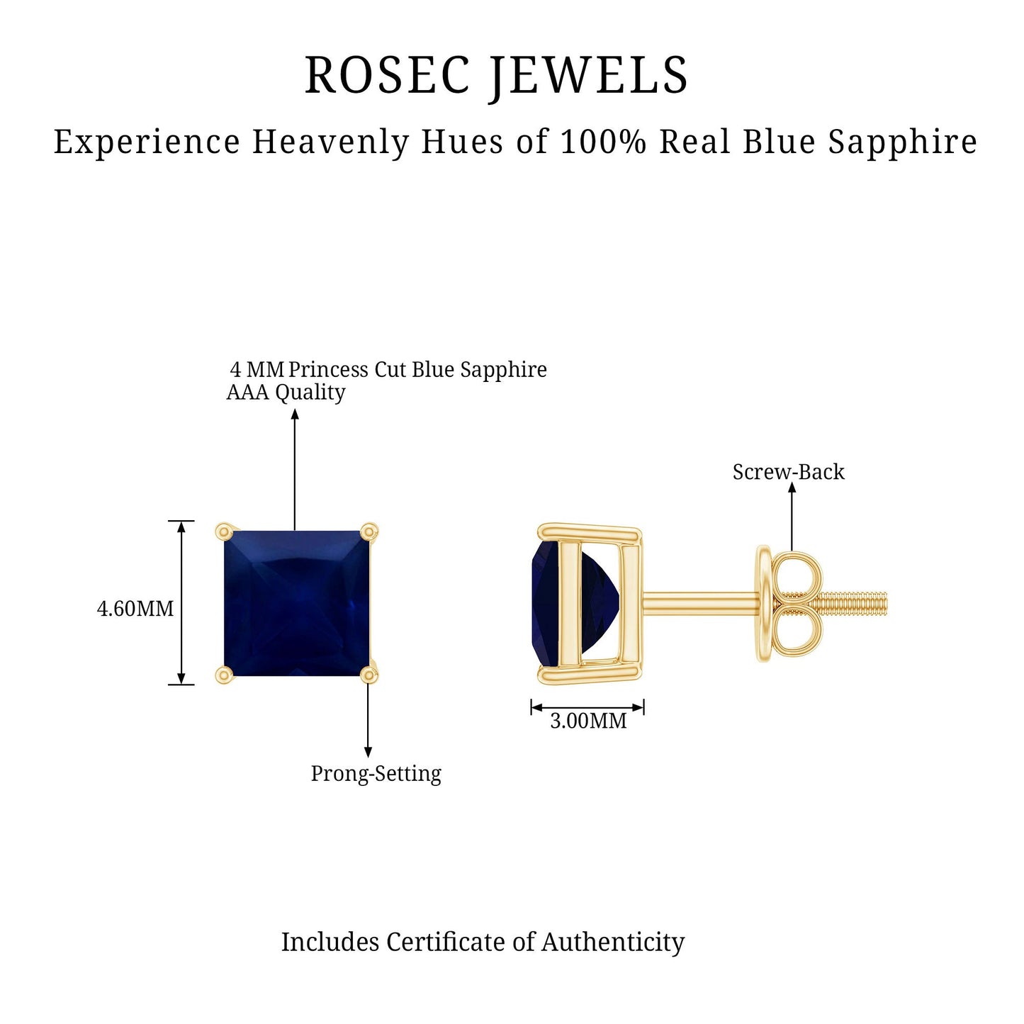 1 Carat Solitaire Blue Sapphire Princess Cut Stud Earrings